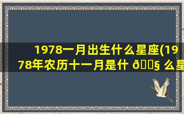 1978一月出生什么星座(1978年农历十一月是什 🐧 么星座)